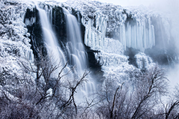 Snowy scene